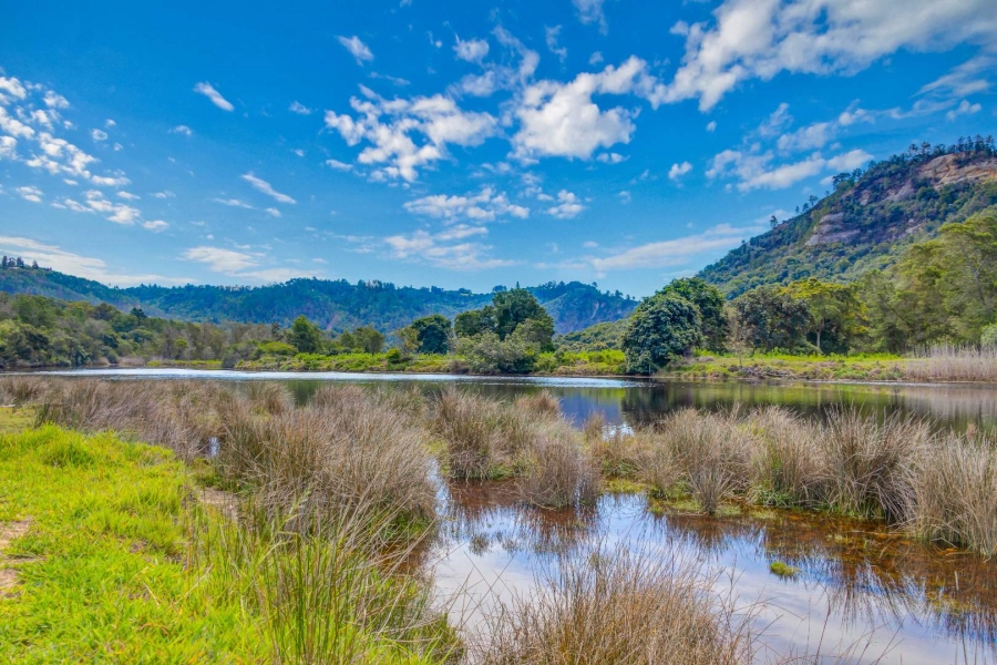 0 Bedroom Property for Sale in Knysna Rural Western Cape